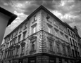 fot_art_0005.jpg